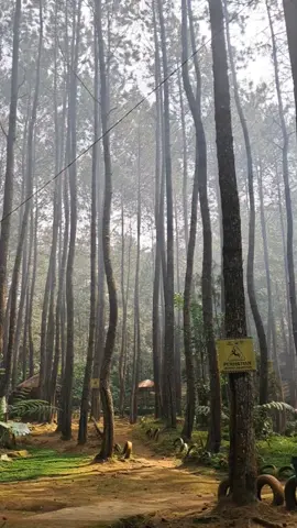 setenang ini 🍃 #wisatakampoengciherang #kampoengciherangtanjungsarisumedang #pyfツ #pyf 
