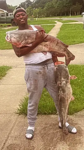 Big blue catfish #fishtok #fish #fishing #catfish #explorepage #Outdoors #explore #country #foryou #countrylife #followforfollowback #bigfish  #adventure #livingmybestlife #outdoorsman #snagging #locks #tiktok #viral #fypage #trending #damm