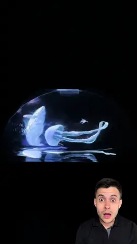 Homemade hologram 