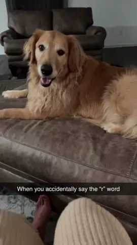 YOU CAN’T LIE TO HIM LIKE THAT! 🥺🥺🥺 #RoadTo15M #Pubity  (carlybraggtv via Collab)