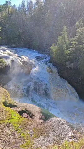 It's definitely worth the hike around the Black River to see the true power and beauty of Rainbow Falls. #waterfall #upmichigan #naturevibes #peaceful #Hiking #Outdoors #adventure #upperpeninsula #blackriver #fyp #yoopertok 