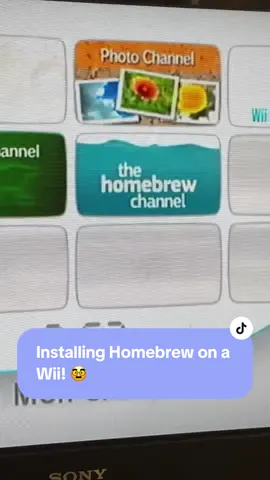 Installing Homebrew on a Customer’s Wii! #custom #nintendo #techtok #CleanTok #wii 