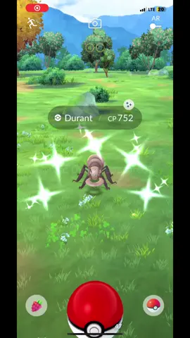 🚨 and #pokemongo players I caught myself a #shinydurant and ive only seen 16 of these! I now have the #shinypokemon pair of rivals! My #shinypokemon luck is on fire!!! ✨ 🔥 #shinydurant #pokemongotrainer #pokemongoshinyhunter #pokemongo #teamsmystic #teaminstinct #teamvalor #pokemongopageforyou #mobilegame #pokemongotrainers 