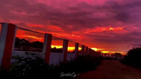 Follow the sun, wherever it leads🥰❤️  📍Kambingan, Isabela City Basilan #sunset #sunset 