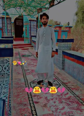 #CapCut #foryou #foryourpage #WhoToFollow #naturephotography #unfreezemyacount #growmyaccount✅♥️♥️♥️ 