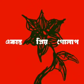 Be your own kind of beautiful #band_music_of_bangladesh🎶 #fyppppppppppppppppppppppp #standwithkashmir #capcut #foryoupage #foryou #music 