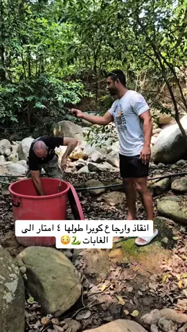 هذا الشخص يمسك الافاعي الي تدخل البيوت او المنتجعات ويرجعها للغابات، وعلى فكره يسوي هذا الشي ببلاش 😅