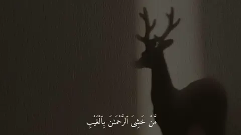 #سورة_ق | القارئ : #محمد_هشام #قران #راحه_نفسية #Quran #اجر_لي_ولكم #صدقة_جارية