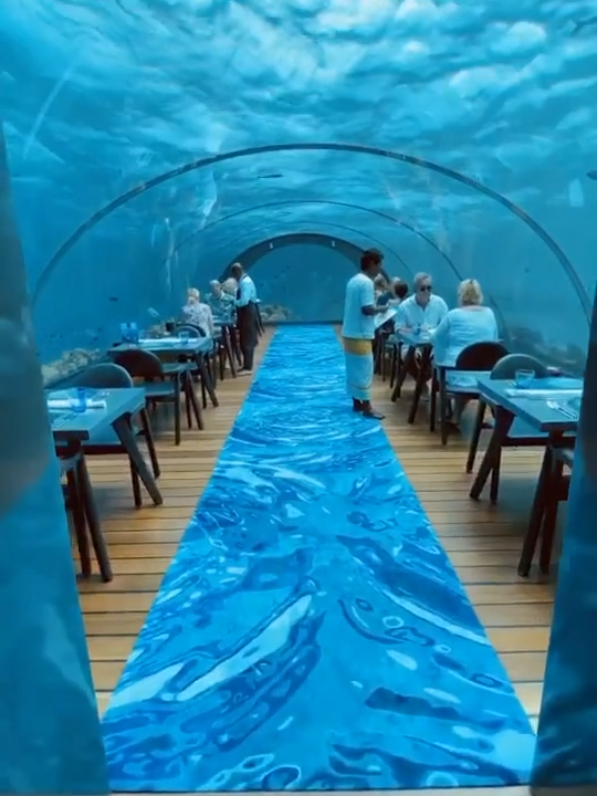 POV: You're about to eat at the world's first underwater restaurant  📍Ithaa Undersea, located in Conrad Maldives Rangali Island Get ready for an unforgettable dining experience beneath the waves! 🌊 Want to know more about visiting The Maldives? Drop us a message ✨ #underwater #maldives #maldivestiktok #maldivesislands #conradmaldives #underwaterrestaurent #experiences #maldivestiktok #maldivesbeach #thingstodo #luxuryliving #traveltiktok #traveltok #traveltips #themaldives #dubai #dubailiving
