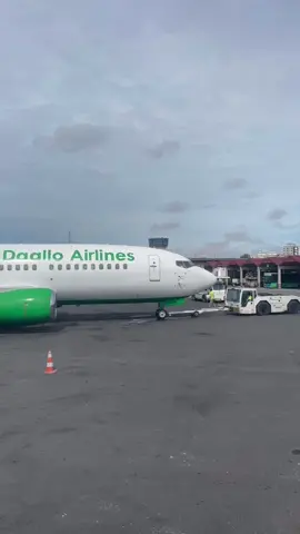 daalo airlines at aden adde airport🇸🇴#somalia #adenaddeairport #airport #mogadishu #somalitiktok #somali #airportlife #somaliproud #muqdisho #muqdisho_somalia #foryou #fypage 