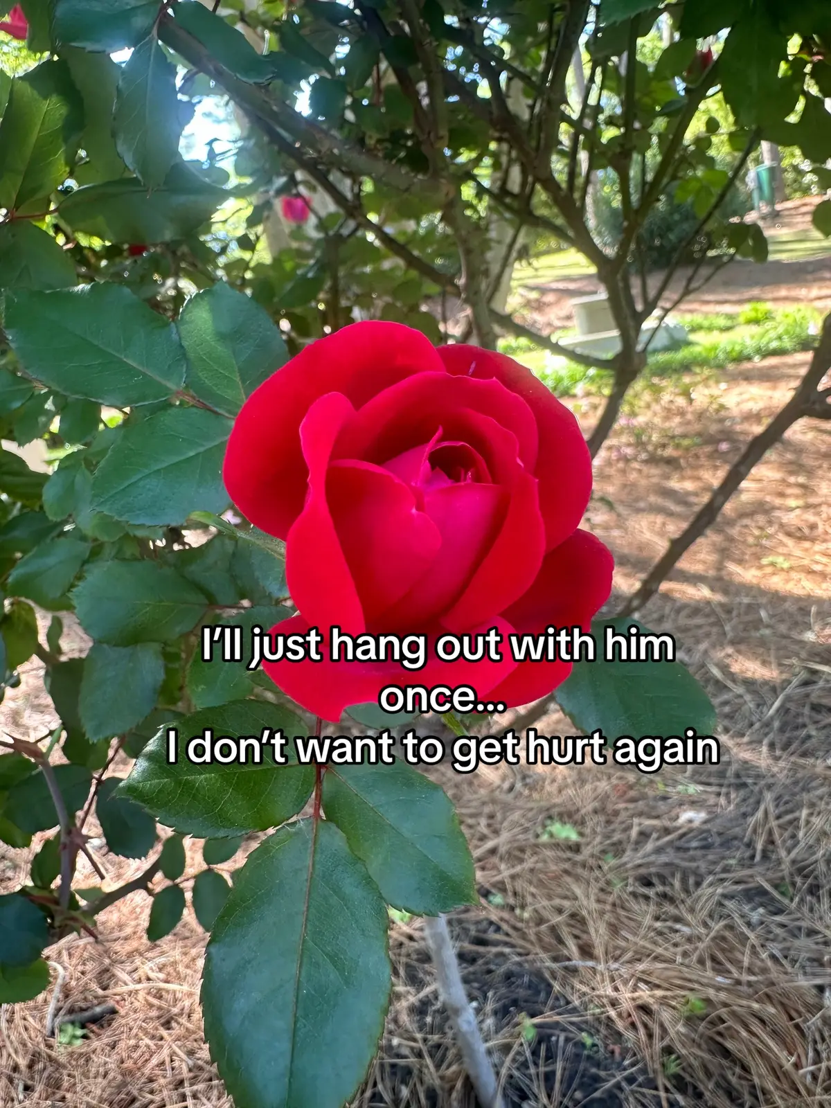 #fypシ゚viral #fypage #Relationship #happy 