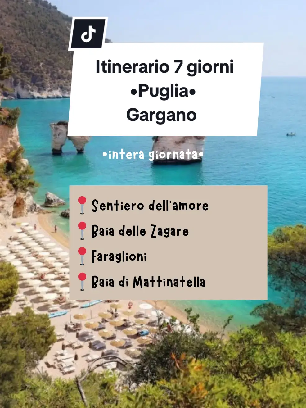 Ti racconto il mio viaggio nel Gargano 💗 Lunghezza totale 305 km+145km per tornare a Bari Itinerario 7 giorni. 1 GIORNO: Arriviamo a📍BARI in aereo e ritiriamo l'auto per iniziamo il nostro road trip nella parte del Gargano. (Se vi interessa il Salento lo trovate nel video precedente). Prima di partire vi consiglio una passeggiata per le vie di Bari vecchia.  ALTERNATIVA: se avete già visitato Bari andate alle Grotte di Castellana, ticket 18€ ma organizzate bene gli orari 🙂 Poi in viaggio verso  📍TRANI , dove pranziamo e dedichiamo il pomeriggio alla scoperta del paese. 2 GIORNO: 📍 MANFREDONIA, visitiamo la città e ci fermiamo a pranzo in una buonissima pizzeria. Il pomeriggio andiamo a  📍 MONTE SANT'ANGELO, paese famoso per il santuario di san Michele Arcangelo. 3 GIORNO: 📍 MATTINATA. Prima tappa: il Sentiero Natura Mergoli-Vignanotica, bellissima passeggiata panoramica con vista su Baia delle zagare. Trascorriamo il resto della giornata in spiaggia. 4-5 GIORNO 📍 VIESTE. Vi consiglio di starci almeno due giorni. Trascorriamo la mattina in spiaggia e il pomeriggio alla scoperta di questo bellissimo paese. Visitiamo anche le grotte marine prenotando un'escursione in barca. La sera ceniamo in uno dei tanti ristoranti nel centro. Il giorno dopo facciamo un'escursione alla 📍 FORESTA UMBRA con pranzo a sacco, immersi nella natura. Da Vieste partono anche traghetti per le 📍ISOLE TREMITI  6 GIORNO: 📍 PESCHICI dove trascorriamo l' intera mattina, e nel pomeriggio ci spostiamo su  📍 RODI GARGANICO. Sono due piccoli paesini molto caratteristici. 7 GIORNO:  📍 SAN GIOVANNI ROTONDO prima di tornare in aeroporto a Bari. ✨Avete 20 giorni a disposizione? Unite i due itinerari e partite alla scoperta di tutta la Puglia ✨ Potreste atterrare a Bari o a Brindisi e percorrere tutto il Salento per risalire verso il Gargano 🌸 Trovi info sul Salento nel video precedente 💗 Buon viaggio 💗 #estate #mare #inspo #inspoviaggi #ideeviaggi #italy #itinerariodiviaggio #itinerario #traveltiktok #puglia #travels 