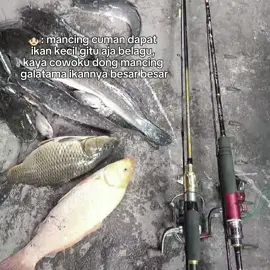 bilang sama cowokmu tangan sama jorannya tahan gk ngangkat 12,3 🤭🤭 #fyppppppppppppppppppppppp #daidofishingteam #mancingmania #joranpancing #galatamalele 