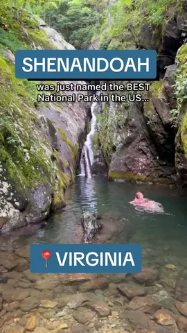 Must-Have Experiences 🌿👇 📍Shenandoah Nat’l Park —>📌 save for planning Virginia’s Shenandoah Nat’l Park (SNP) was once again ranked the best in the nation by Travel Lemming — an organization that uses data to rank all 63 of our National Parks.  & depending on the section of the park you want to explore, it’s about 2hrs from Washington, DC, making it the perfect weekend getaway / city break destination for outdoors lovers.  We’re sharing our recommendations below, but first, promise to do your part to protect our beautiful park by practicing LNT (more info here: @Leave No Trace) when you visit, so Shenandoah continues to be the best for generations to come. 🛖 Where to stay: @Shenandoah Yurt We loved that we could access the park in 15 minutes by renting their e-bikes! This airbnb sleeps 8 and also boasts a 🍳 full kitchen (stocked with a dozen farm-fresh eggs), 🎱 pool table, 🏹 archery, 🔥wood-burning fireplace, 🧩 board game nook, and 🎮 PS 5, making it perfect for a family or friends getaway.  Trails we love for Chasing Waterfalls/Wildflowers/Summit Views: 🌸 Old Rag (permit required) 🥾 Cedar Run (natural waterslides + swimming holes) 💦 Rose River Falls 🌞 Mary’s Rock (for sunrise) 🪨 Bear Fence (fun rock scramble). 🚘  Scenic Drive + No-hike Overlooks: Spanning the length of Shenandoah National Park, Skyline Drive is designated as both a National Scenic Byway and National Historic Landmark and boasts 75 overlooks/pull-offs.  💵: Visitors must have a National Park pass OR pay a $30 entrance fee (which covers unlimited entry for one vehicle and passengers for seven consecutive days) in order to access Shenandoah National Park. Have you visited the best park in this USA, or is it still on your list? —— #airbnbfinds #yurt #uniquestays #luxuryairbnb #shenandoahnationalpark #shenandoahvalley