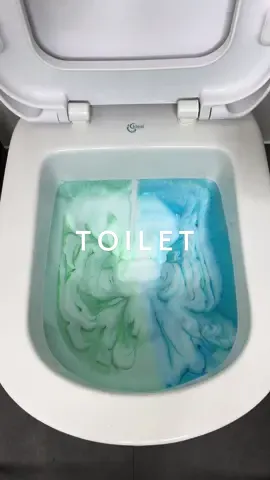 drop some toilet combos I shoukd try next!🥰#CleanTok #relax #cleaningoverload #sudssquad #clean #cleaningtiktok #sudsycleaning #sudsy #sud #spongesqueezes 