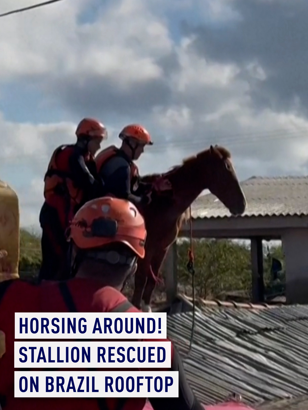 A horse trapped on a roof due to flooding in Canoas, south of Brazil, has been rescued by a joint team of firefighters and veterinarians. Over 100 people have died and at least 1,476,170 have been affected by heavy flooding in Brazil’s southernmost state Rio Grande do Sul.