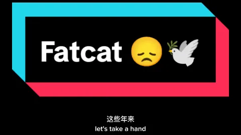 Fatcat 😞🕊️ #fyp #fypシ #fatcat #streamer #china #douyin抖音 #sadstory 