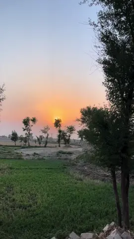 Pakistan village bahawalnagar #pakistan #india  #bangladesh #village #desifood  