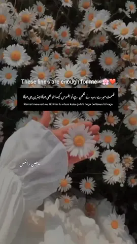 line's~❤️🌸 #foryou #foryoupage #dontunderreviewmyvideo #unfreezemyaccoun #fypシ #explorepage #viralvideo #fypシ #urduline #1million #1m #fypシ #maheenwrites8 