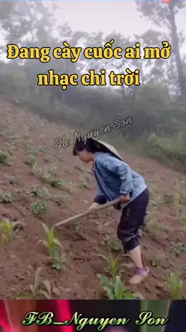 Đang làm mà ai chơi mở nhạc cuốn quá #ducaufishing #ducaushop #trendingremix 