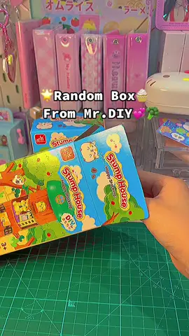 🌟Random Box🧁 📦From Mr.DIY💞🥦
