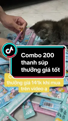 Tiktok trợ giá giảm còn 1.4.1k khi mua combo 200 thanh súp thưởng trên clip nha cô chú ơi 🥰#xuhuong #thinhhanh #catsoftiktok ##supthuongchomeo #supthuongshizuka 