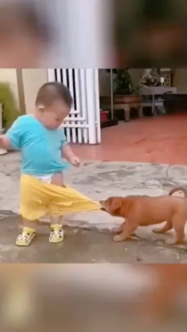 so cute baby funny dogs 🤣🤣🤣babies funny shroy😂🤣🤣🤣🤣🤣#bab #babylove #vlogs #babyfashionista #baby #fyp #ootdbaby #trending #song #babylove #typ #babyvideos #foryou #babylove #cutebaby #trendingvideo #The #babies #c #ForYouTrack #viraltiktok #vlogs #babiesoftiktok #babiesoftiktok #cutebabies #funnyvideos #ha #funnybaby #TikTokfunny #fyp #babiesfunny #TikTok #viral#c  #lovebaby #foryoupage #shorts #video #cute #UnitedState#fyp #AdorableBabyGirls#TikTokfunny  #LaughingBabies#lovebaby  #CutiePieBabies#UnitedState  #BabyGirlHumor#blowthisup  #SmilingBabies  #FunnyBabyMoments#shorts  #LittlePrincesses#UnitedState  #GigglingBabies#funnyvideos  #CharmingBabyGirls  #SweetBabyLaughs#funnybaby 