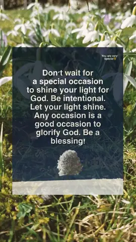0808be9815#pray#jesus#blessings#jesuloveyou💖😇🙏🏼#fyp#foryou
