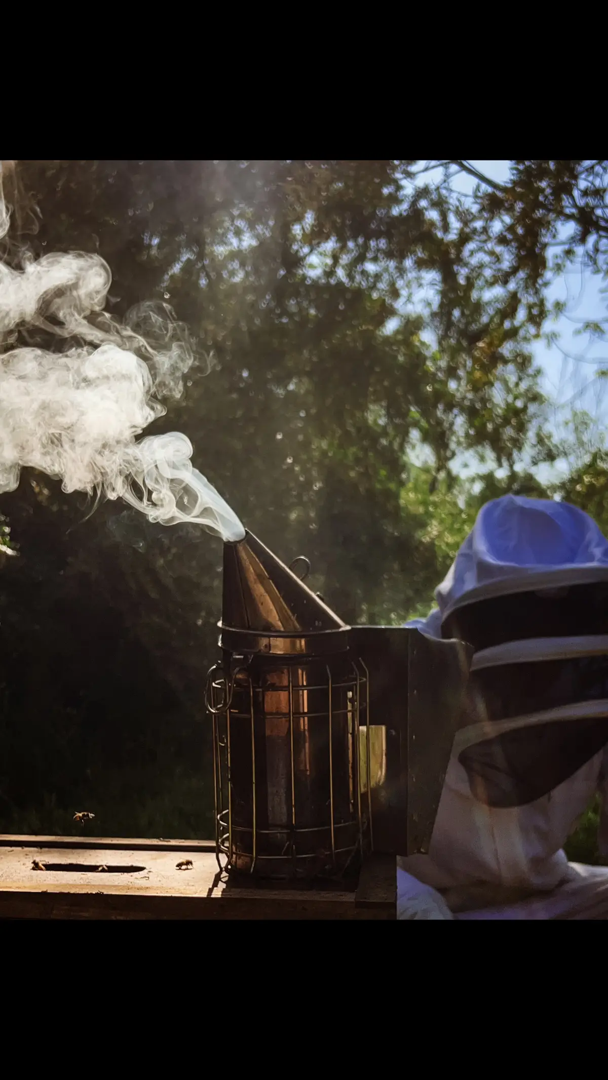 When working the bees, I keep smoke nearby if I need it. But rarely do I actually use it. Rather, I keep my nerves in check, stay calm, and go slow. Here’s a story: When I bought my first-ever hives almost a decade ago, I pulled up to the apiary with my hive travel boxes ready. The beekeeper told me to bring them over to the hives where he was going to lift the frames from the boxes into the travel containers. I didn’t bring a suit. 😱 Feeling slightly panicky, I realized I was about to have my first beekeeping experience without even a veil. Just as he was opening the cover he said, “You’re very lucky; this is a huge colony.” Well shit. No suit and a massive colony. Awesome. I tried to be cool. As I watched thousands of bees move inches from me in my shorts and tank top (and flip flops, of course), I breathed evenly. I was careful not to exhale directly on the hive. I mentally set aside my fear and willed calmness instead. The hive closed before I knew it. I wasn’t stung, and I wasn’t dead. 🤣  Now when working hives I always try to read the energy of my bees. If they’re cranky, forget it. I’ll work them later. But if I keep my energy calm, I have learned (and experienced first hand many times) that their energy will mellow too. I never stand directly over them, never breath directly on them, move slowly, and stay at ease.