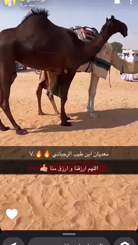 سعووود آل برآز ##على معديان محمد هاجد ابن طيب الرجباني 🤍