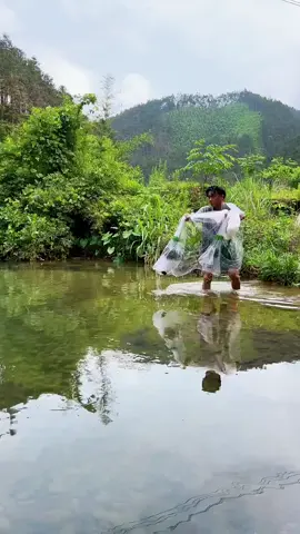 fishing video কনি জাল দিয়ে মাছ ধরার মজাই আলাদা #আল্লাহু_আকবর #tiktok #ফরইউতে_দেখতে_চাই #tiktokviral #tiktokbangladesh #tiktokindia #মাছেরভিডিও #মাছের #ফিস #fishing #fishingtiktoks 