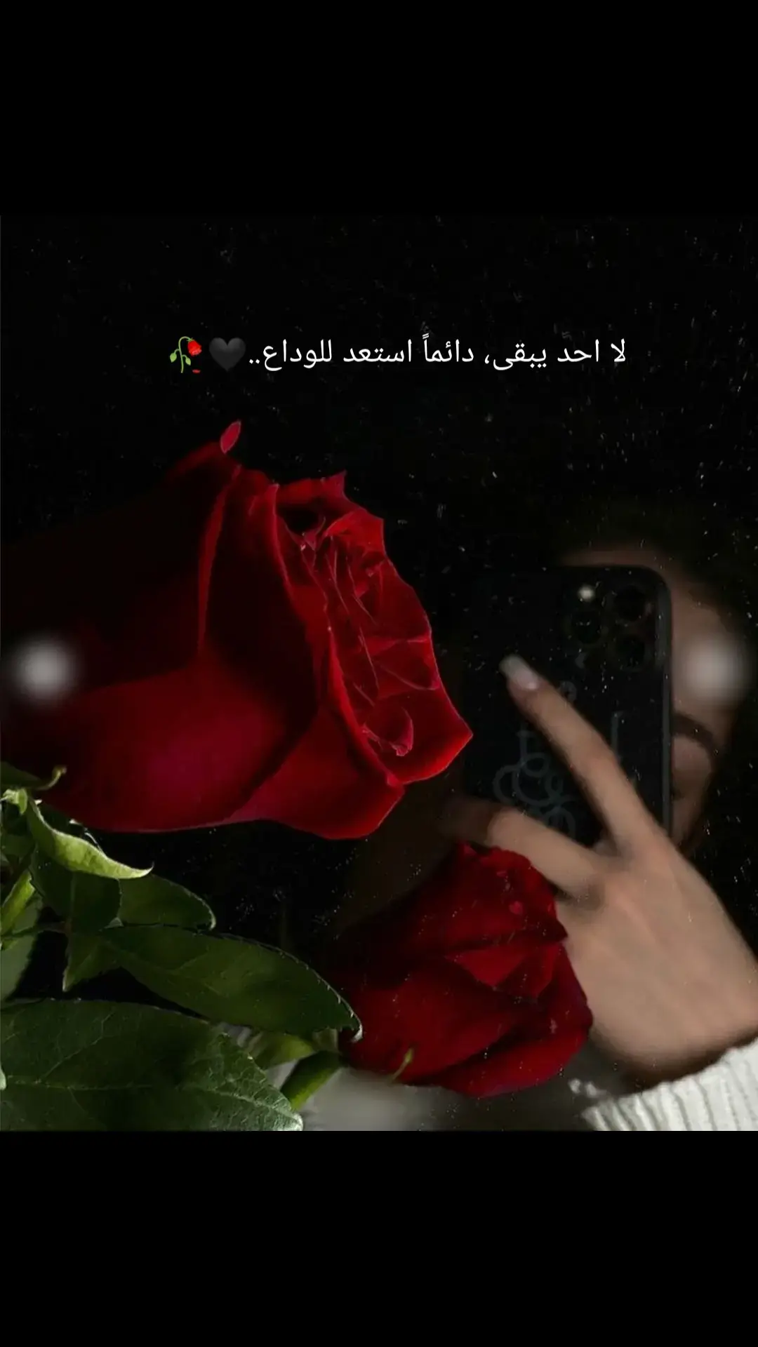 #اكسبلوررررر #🥀🥀🥀🥀🥀🥀 #💔💔💔🥀🥀🥀💔💔🖤🖤 #💔💔💔🥀🥀🥀💔💔🖤🖤 