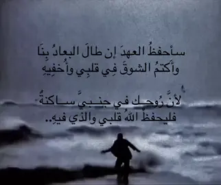 #4u #fyp #foryou #explore #قصائد #فصحى 
