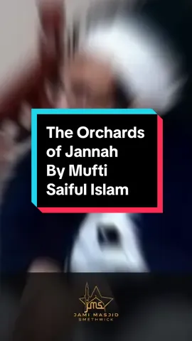 The Orchards of Jannah | Mufti Saiful Islam | #shorts #islamicreminder #jannah #islam #muslim #salah #fyp 