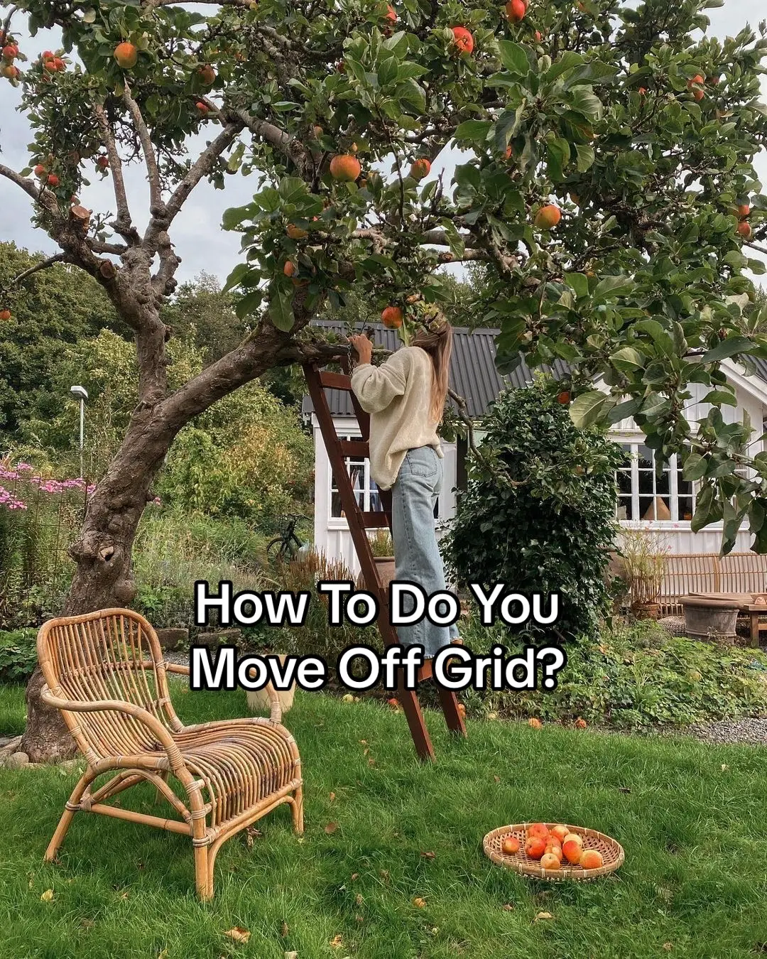 How To Move Off Grid 