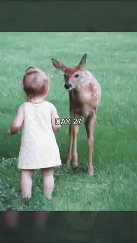 A baby deer was adopted by this family after being rescued, but... #venado #pet #animal #ciervo #deer #pets #sad #animals #emotional 