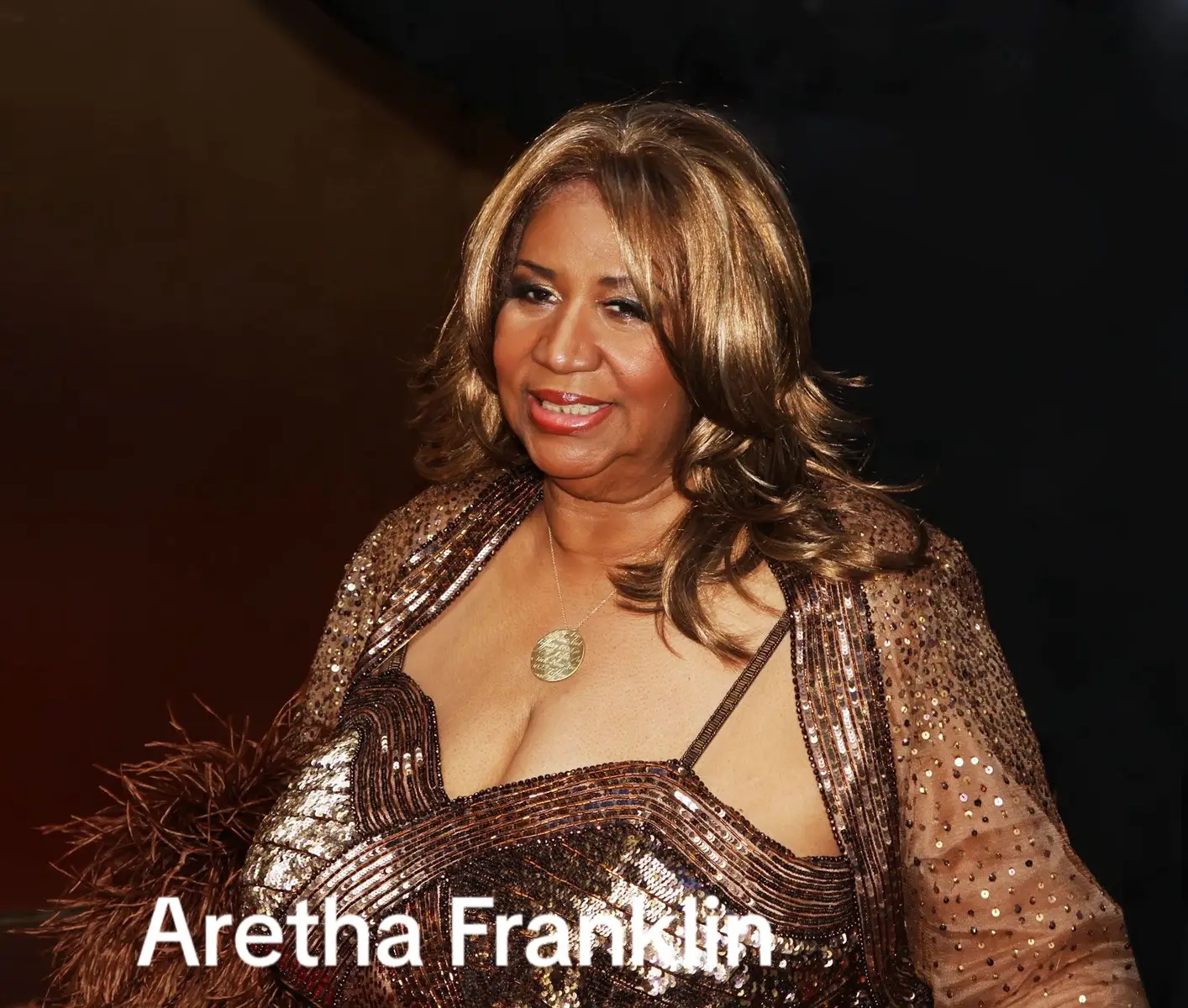 2018, Aretha Franklin, the Queen of Soul, died at the age of 76 at her home in Detroit. According to a statement released by her family, Franklin died from advanced pancreatic cancer of the neuroendocrine type