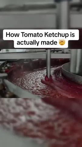 How Tomato Ketchup is actually made 🤯 #fyp #how #viral #made #tomato #ketchup 