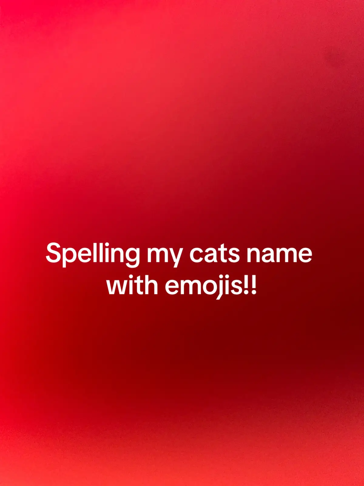 #emoji#cats