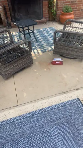 i wonder who did it.