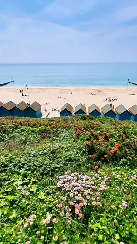 Beach ⛱️🌊🏝#sealover #sun #beachvibes #sea #fyp #foryou 