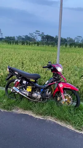 #CapCut #5tp #5tpjogjastyle #5tpmenolakpunah #5tpgank 