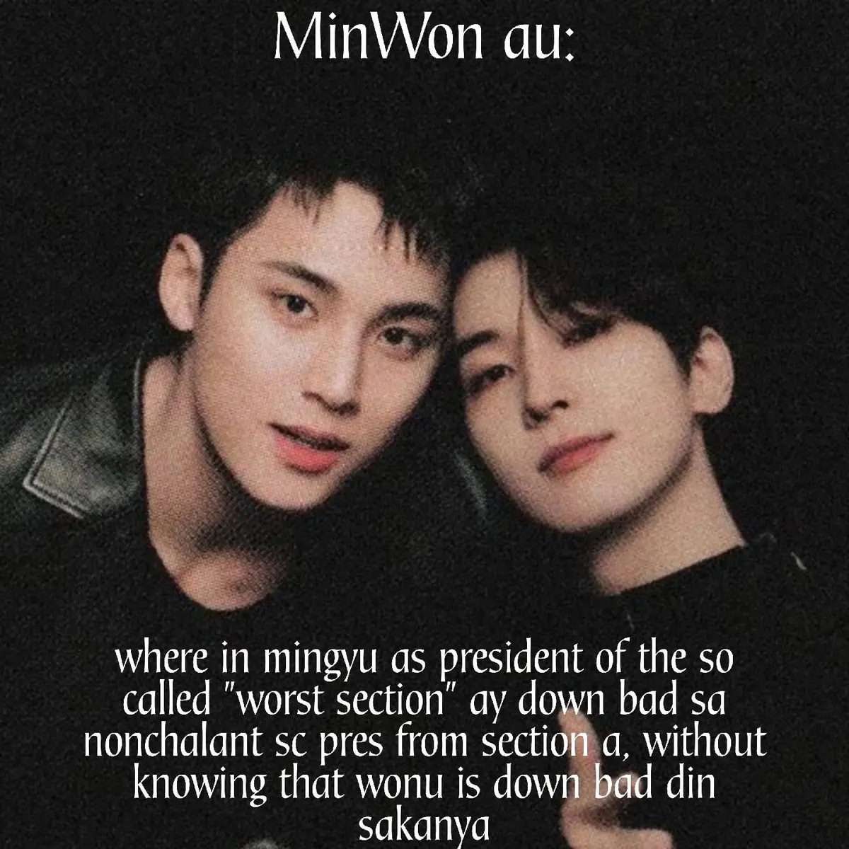 #minwonau #minwon #minwonsvt 