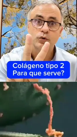Confira no link disponível na Bio o colágeno UC-II mais recomendado e aprovado por milhares de pessoas! #saude #vidasaudavel #colageno #dores #articulacoes #doresnasarticulacoes #imunidade #reposição #capsulas #praqueserve #colagenotipo2 