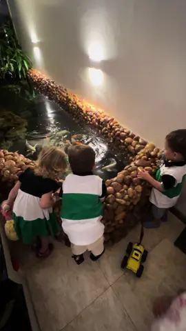 Oque será que os trigêmeos viram pela primeira vez? #trigemeosdoparaiso #trigemeos #deciovitoriaedante