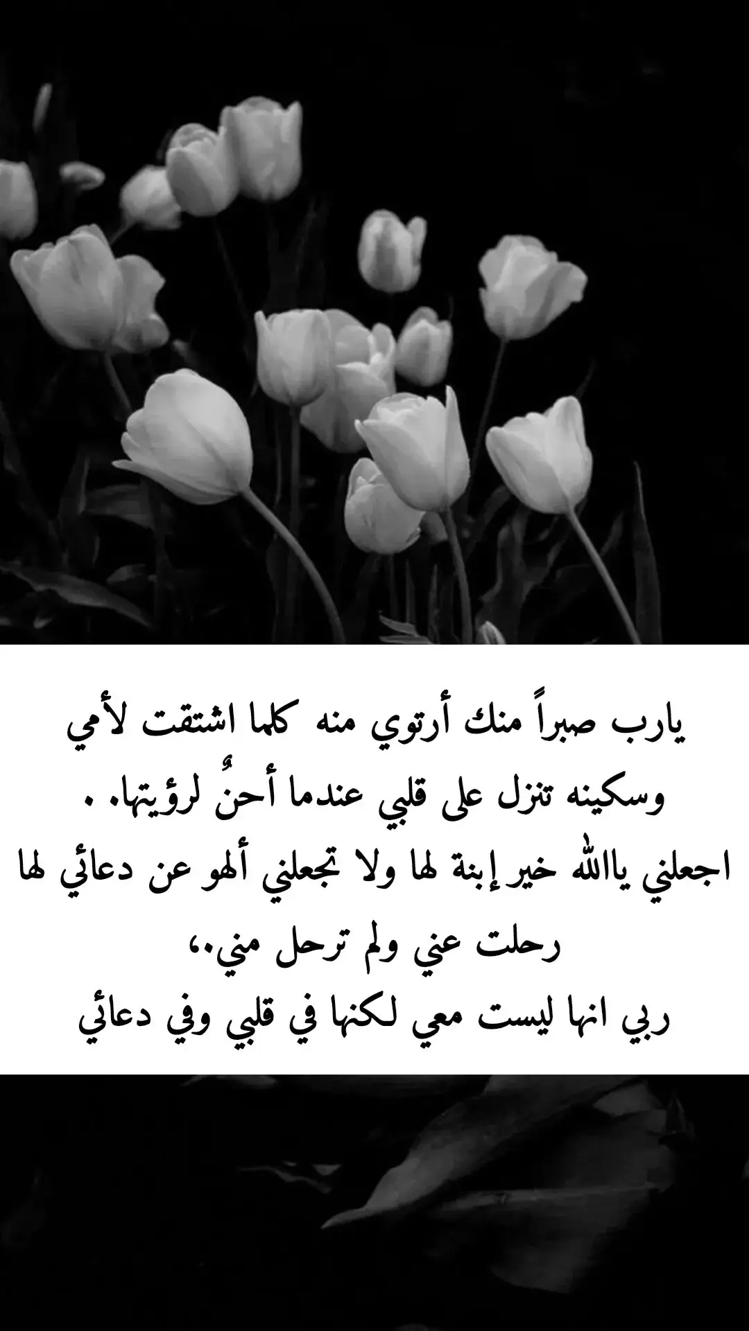 اللهم اغفر لأمي وارحمها واسكنها فسيح جناتك يارب العالمين اشتقت إليك ياأمي💔 #الموتى_لاتنسوهم_من_دعائكم #الفقد #الفقدان_مؤلــم #دعاء #دعاء_للموتى #دعاء_يريح_القلوب #الجنه_لكل_غالي_فقدناه_ #الجنه #اذكروا_الله 