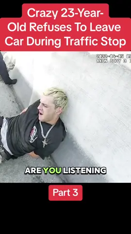 Crazy 23-Year-Old Refuses To Leave Car During Traffic Stop