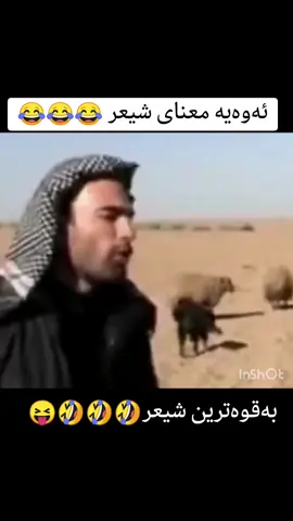 #کوردستانیم #کوردم #کوردستان #کوردستان_سلێمانی_کەرکوک_هەولیر #کوردی🇹🇯️ #کومیدی #کومیدی 