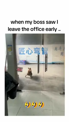 See..what happened..🤣🤣🤣 #funny #funnyvideos #office #officehumor #fyp #foryo 