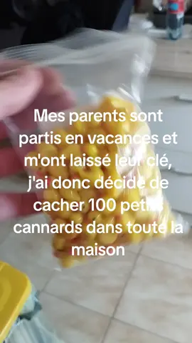 #duck #100 #100ducks #pourtoi #fyp  Désolé les parents, mais c'est drôle ( c'est ma soeur qui m'as donné l'idée en plus 🤣😭 )
